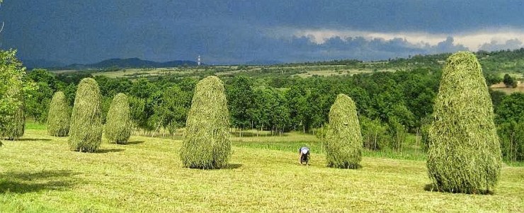 6bc053e8a997258cb3f78147e7c05770