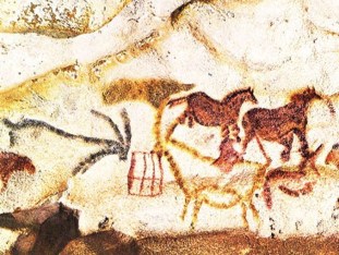 Axial Gallery ibexhorsessign DM a