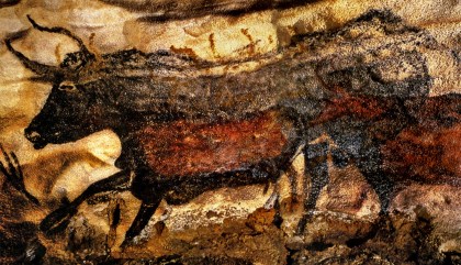 Axial Gallery lascaux_great black bull DM