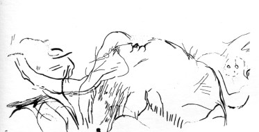 combarelles mammoth 2