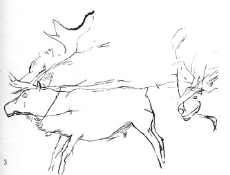 combarelles reindeer