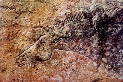 lascaux bearded horse DM a