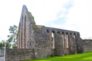 0 Nenagh_Friary 2