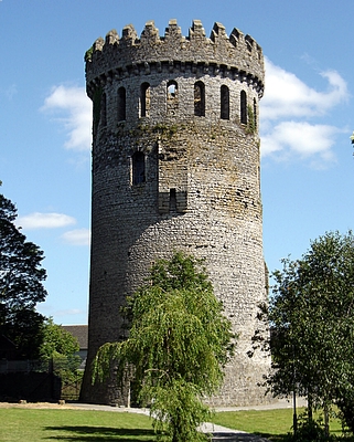 Nenagh_Castle